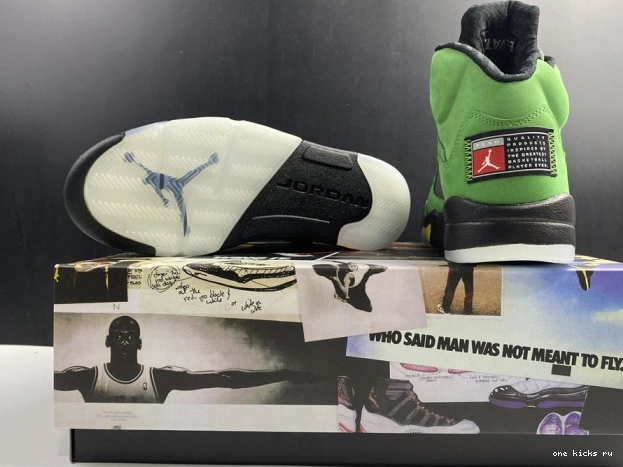 Cheap 5 SE Jordan Ducks Air CK6631-307 Oregon 0521